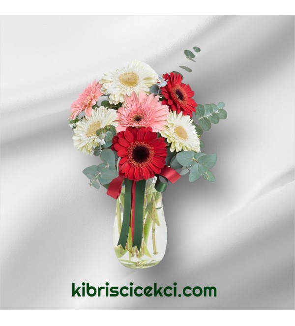 Vazoda Gerbera Vazoda Gerbera